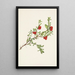 Arctostaphylos uva-ursi berry - Mary Vaux Walcott — framed artwork on a wall