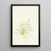 Houstonia serpyllifolia - Mary Vaux Walcott — framed artwork on a wall