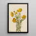 Dendromecon rigide Dendromecon rigidum - Mary Vaux Walcott — framed artwork on a wall