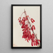 Maple of Caroline Acer carolinianum - Mary Vaux Walcott — framed artwork on a wall