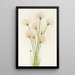 Linaigrette Eriophorum chamissonis - Mary Vaux Walcott — framed artwork on a wall