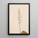 Orchis Tipularia uniflora - Mary Vaux Walcott — framed artwork on a wall