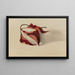 Autumn Leaves Rolled - Mary Vaux Walcott — framed artwork on a wall