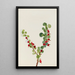 Gooseberry unfinished - Mary Vaux Walcott — framed artwork on a wall
