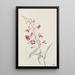 Epilobe en épi Epilobium angustifolium - Mary Vaux Walcott — framed artwork on a wall