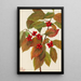 Cornouiller à fleurs Cornus florida - Mary Vaux Walcott — framed artwork on a wall