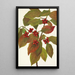 Cornus florida fruit - Mary Vaux Walcott — framed artwork on a wall