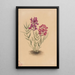 Flowers of the Mesa - Mary Vaux Walcott — framed artwork on a wall