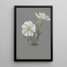 Hellébore géant Epipactia gigantea - Mary Vaux Walcott — framed artwork on a wall
