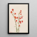 Gilia arizonica - Mary Vaux Walcott — framed artwork on a wall