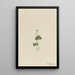 Malaxis with single leaf - Mary Vaux Walcott — framed artwork on a wall