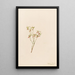 Airelle des bois Vaccinium scoparium - Mary Vaux Walcott — framed artwork on a wall