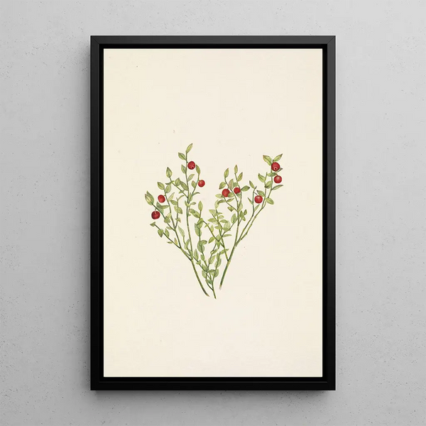 Berry of the Forest Vaccinium scoparium - Mary Vaux Walcott — framed artwork on a wall