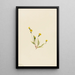 Hieracium gracile - Mary Vaux Walcott — framed artwork on a wall