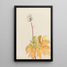 Actée à gros pédicelles Actaea arguta - Mary Vaux Walcott — framed artwork on a wall