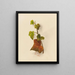Ivy - Mary Vaux Walcott — framed artwork on a wall