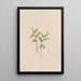 Kruhsea Kruhsea streptopoides - Mary Vaux Walcott — framed artwork on a wall