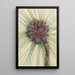 Pin des marais Pinus palustris - Mary Vaux Walcott — framed artwork on a wall