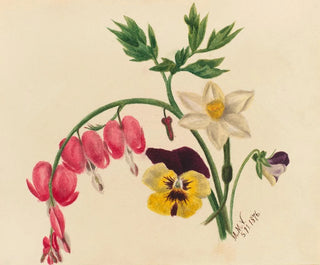 Flowers Mix - Mary Vaux Walcott — artwork view