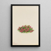 Silène acaule Silene acaulis - Mary Vaux Walcott — framed artwork on a wall