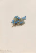 the moss Myosotis Eritrichum elongatum - Mary Vaux Walcott — artwork view