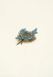 Myosotis des mousses Eritrichum elongatum - Mary Vaux Walcott — artwork view