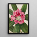 Rhododendron des montagnes Rhododendron catawbiense - Mary Vaux Walcott — framed artwork on a wall
