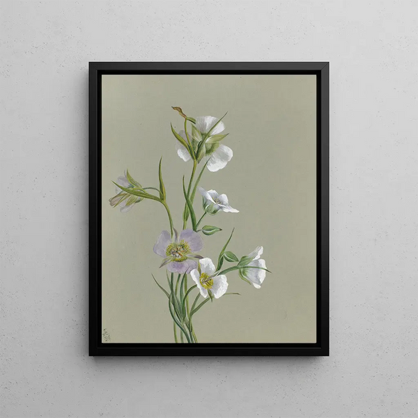 On the Road to the Monument - Mary Vaux Walcott — framed artwork on a wall