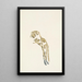 Hypopitys américaine pâle - Mary Vaux Walcott — framed artwork on a wall