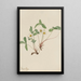 Pale Strawberry Fragaria glauca - Mary Vaux Walcott — framed artwork on a wall