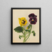 Thoughts 2 - Mary Vaux Walcott — framed artwork on a wall