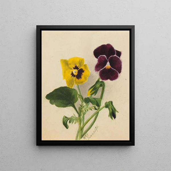 Thoughts 2 - Mary Vaux Walcott — framed artwork on a wall