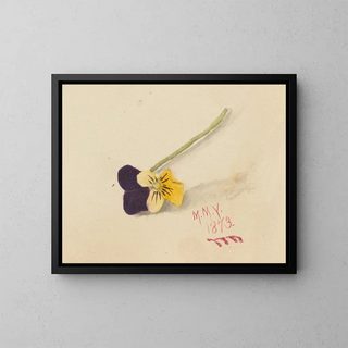 Thought - Mary Vaux Walcott — framed artwork on a wall