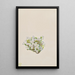 Phlox caespitosa - Mary Vaux Walcott — framed artwork on a wall
