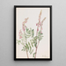 Hedysarum rose Hedysarum americanum - Mary Vaux Walcott — framed artwork on a wall