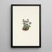 Violette des montagnes violette Viola adunca - Mary Vaux Walcott — framed artwork on a wall