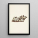 Pyxidanthera barbulata - Mary Vaux Walcott — framed artwork on a wall