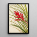 Tillandsia fasciculée - Mary Vaux Walcott — framed artwork on a wall