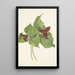 Trille rouge - Mary Vaux Walcott — framed artwork on a wall