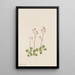 Saxifrage à tige rouge - Mary Vaux Walcott — framed artwork on a wall