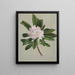 Rhododendron Rhododendron maximum - Mary Vaux Walcott — framed artwork on a wall