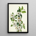 Willow of the Rocks Salix vestita - Mary Vaux Walcott — framed artwork on a wall
