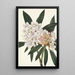 Rhododendron Rosebay Rhododendron maximum - Mary Vaux Walcott — framed artwork on a wall