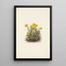 Potentille en rosette Potentilia uniflora - Mary Vaux Walcott — framed artwork on a wall