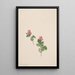 Rubus articus - Mary Vaux Walcott — framed artwork on a wall