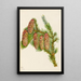 SAAM1970355715 - Mary Vaux Walcott — framed artwork on a wall