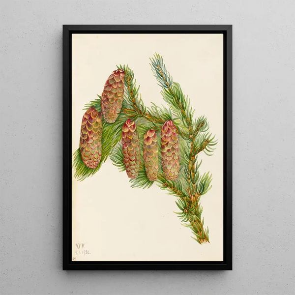 SAAM1970355715 - Mary Vaux Walcott — framed artwork on a wall