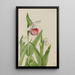 Sabot de la Vierge Cypripedium reginae - Mary Vaux Walcott — framed artwork on a wall