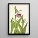 Sabot de la Vierge Cypripedium reginae - Mary Vaux Walcott — framed artwork on a wall