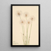 Linaigrette gracile Eriophorum chamissonis - Mary Vaux Walcott — framed artwork on a wall